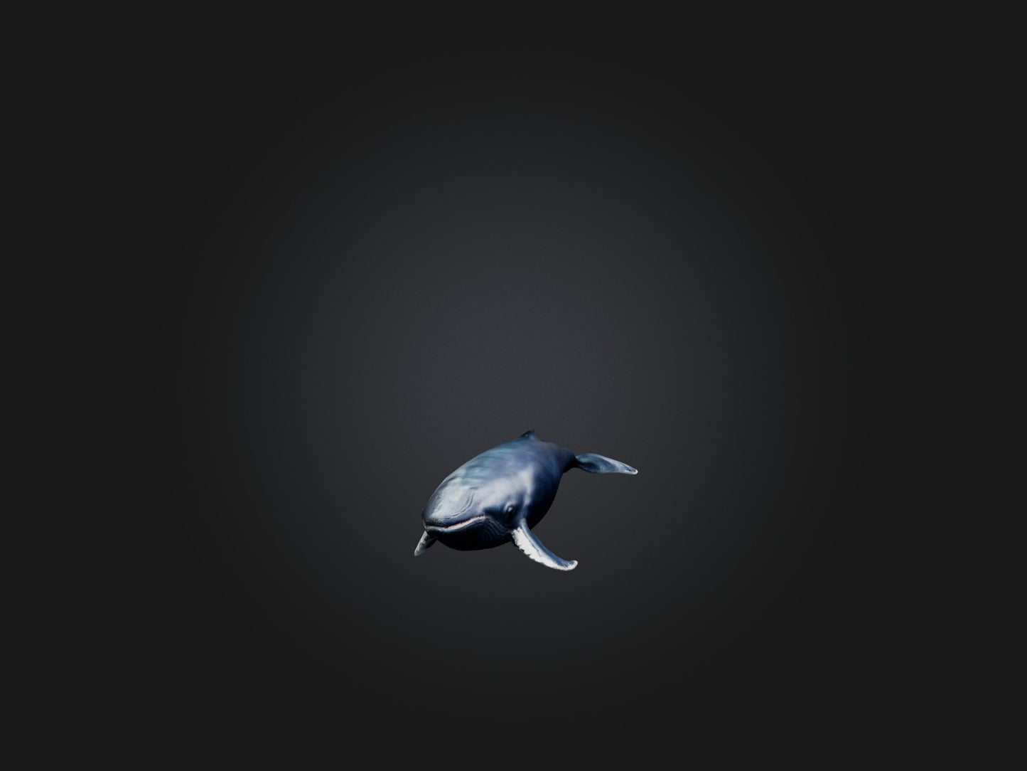 3D model Realistic Whale Model VR / AR / low-poly