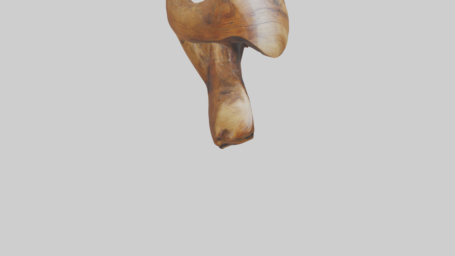 Reclaimed wood sculpture model VR / AR / low-poly