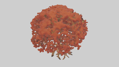 3D model Red Alder tree model VR / AR / low-poly