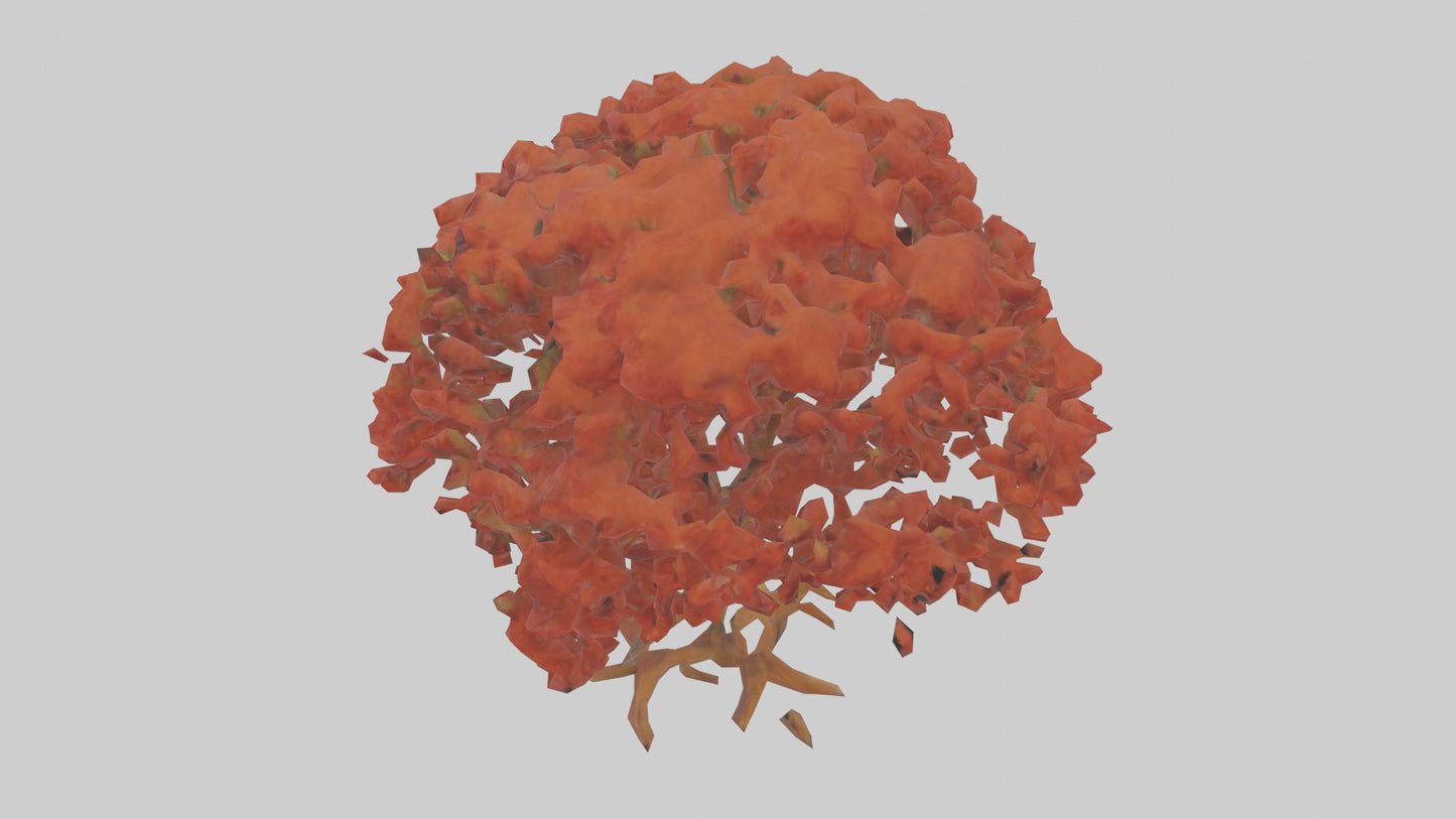 3D model Red Alder tree model VR / AR / low-poly