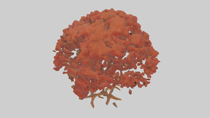 3D model Red Alder tree model VR / AR / low-poly