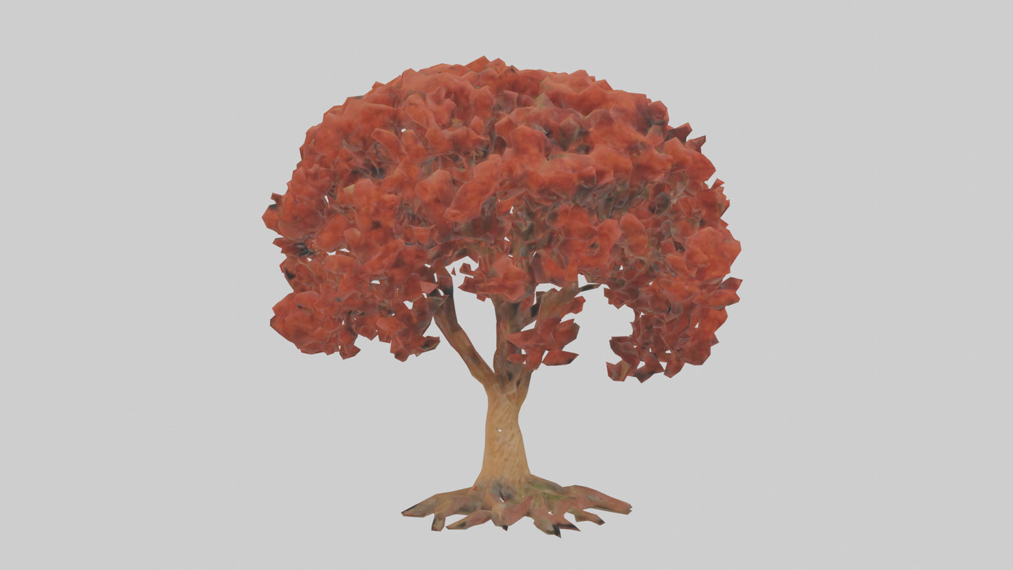 3D model Red Alder tree model VR / AR / low-poly
