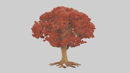 3D model Red Alder tree model VR / AR / low-poly