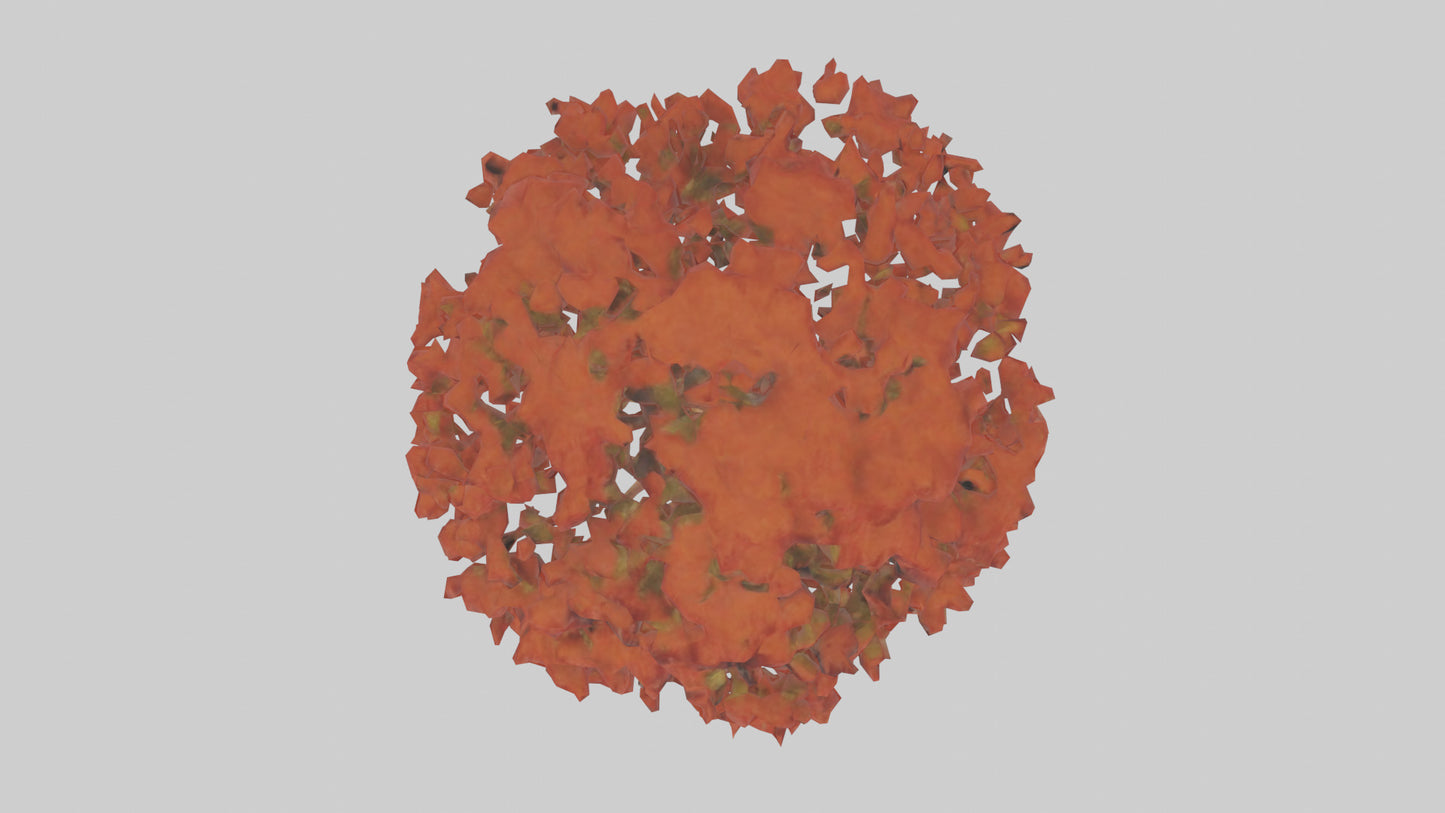 3D model Red Alder tree model VR / AR / low-poly