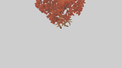 3D model Red Alder tree model VR / AR / low-poly