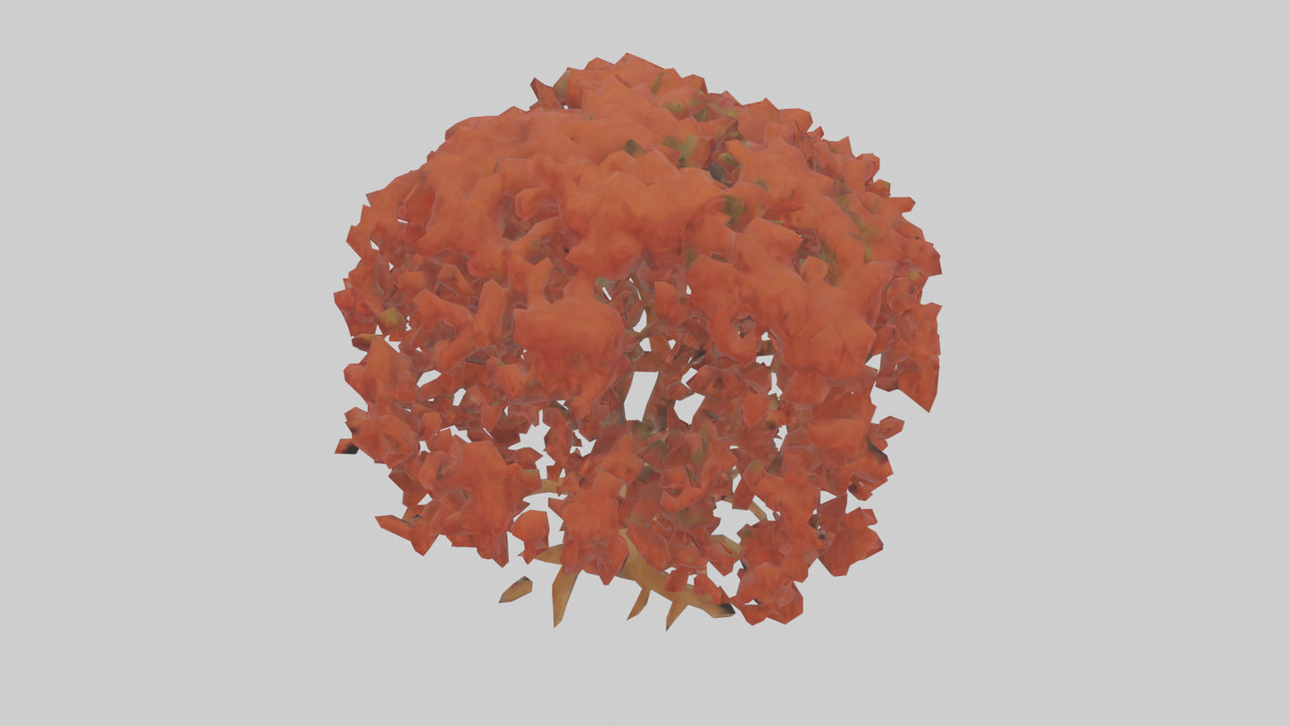 3D model Red Alder tree model VR / AR / low-poly