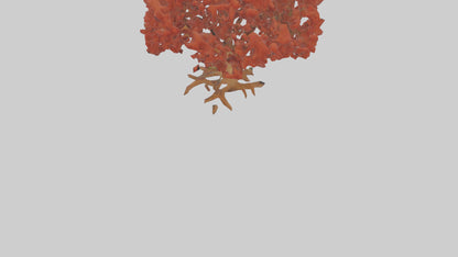 3D model Red Alder tree model VR / AR / low-poly