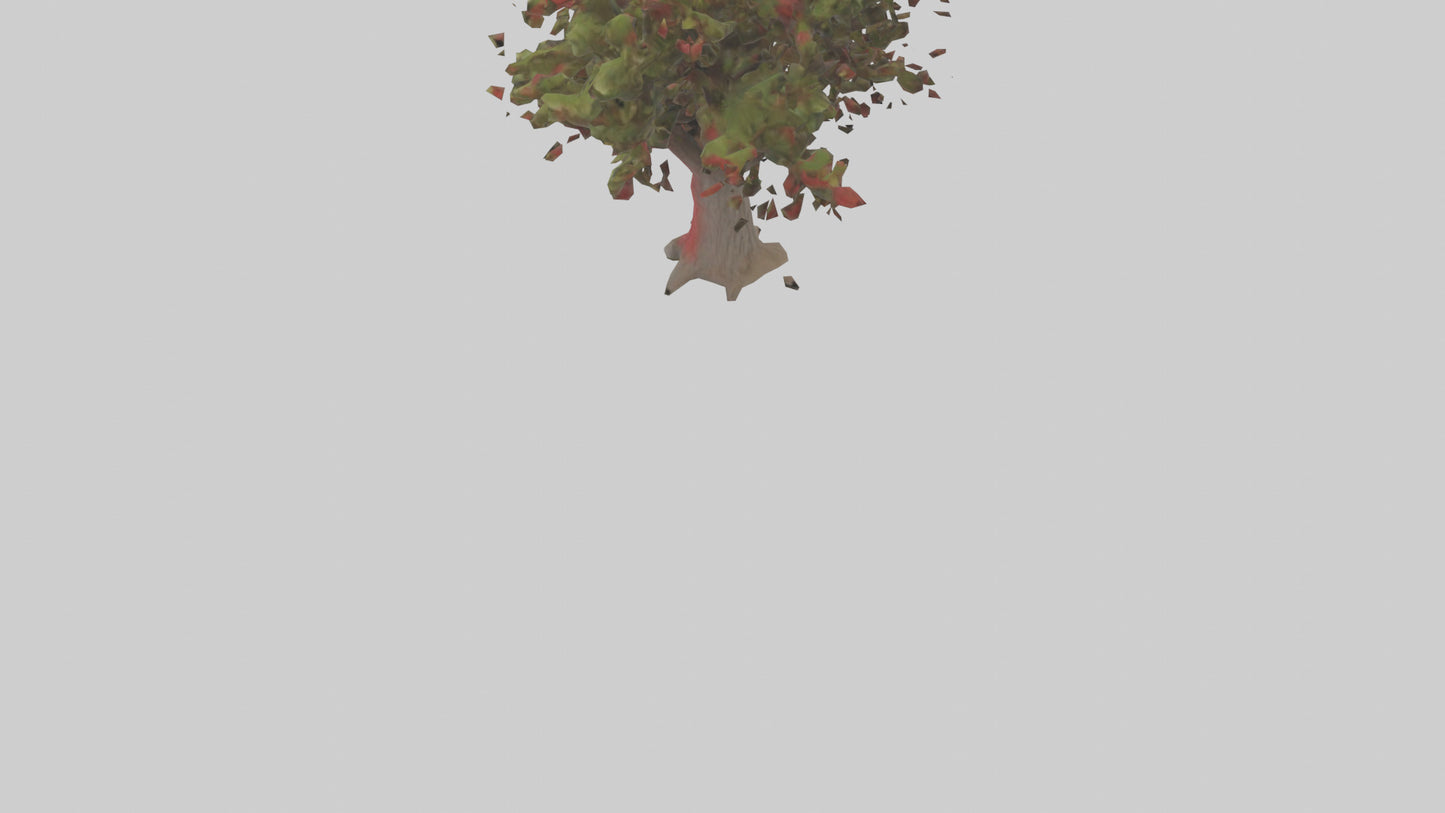 3D model Red Bay tree model VR / AR / low-poly