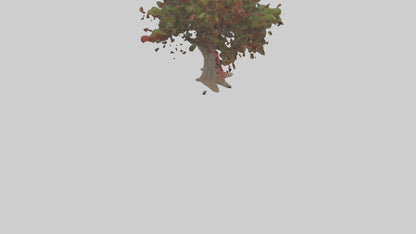 3D model Red Bay tree model VR / AR / low-poly
