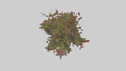 3D model Red Bay tree model VR / AR / low-poly
