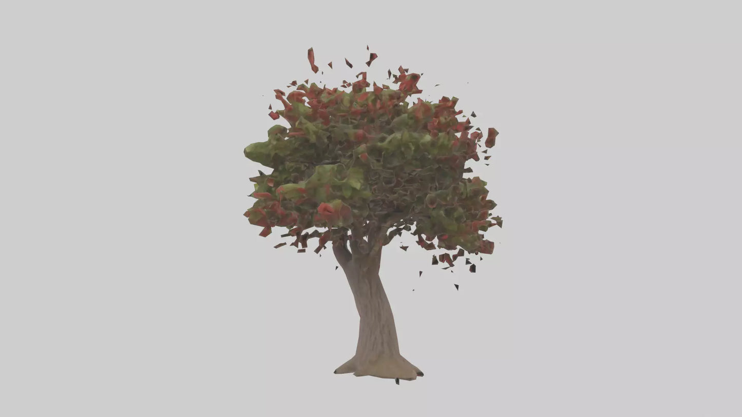 3D model Red Bay tree model VR / AR / low-poly