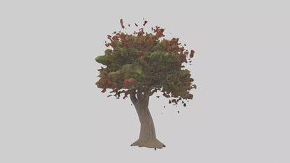 3D model Red Bay tree model VR / AR / low-poly