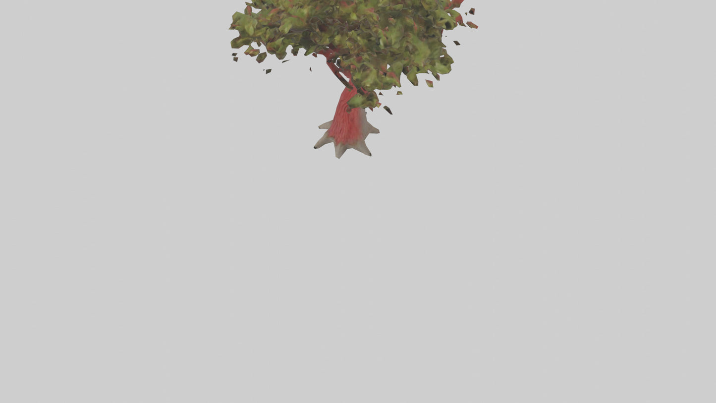 3D model Red Bay tree model VR / AR / low-poly