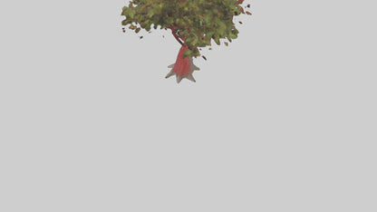 3D model Red Bay tree model VR / AR / low-poly