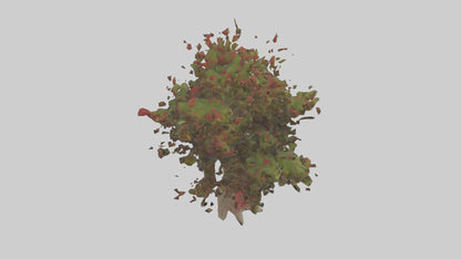 3D model Red Bay tree model VR / AR / low-poly
