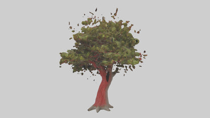 3D model Red Bay tree model VR / AR / low-poly