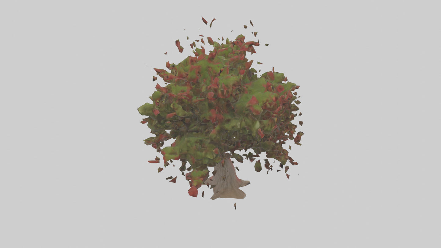 3D model Red Bay tree model VR / AR / low-poly