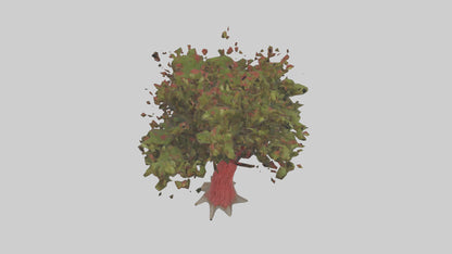 3D model Red Bay tree model VR / AR / low-poly