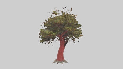 3D model Red Bay tree model VR / AR / low-poly