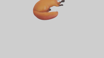 Red Fox resting model VR / AR / low-poly