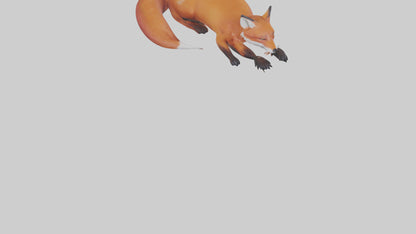 Red Fox resting model VR / AR / low-poly