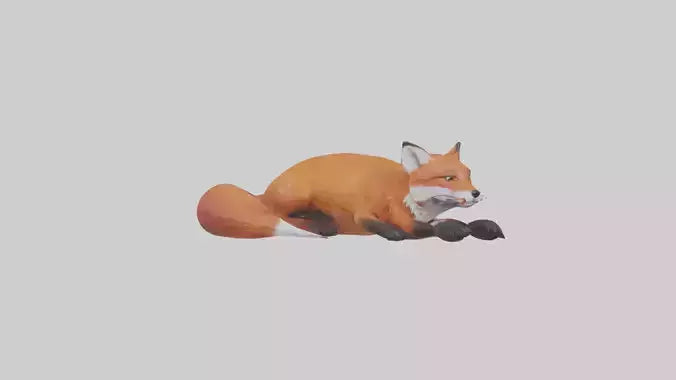 Red Fox resting model VR / AR / low-poly