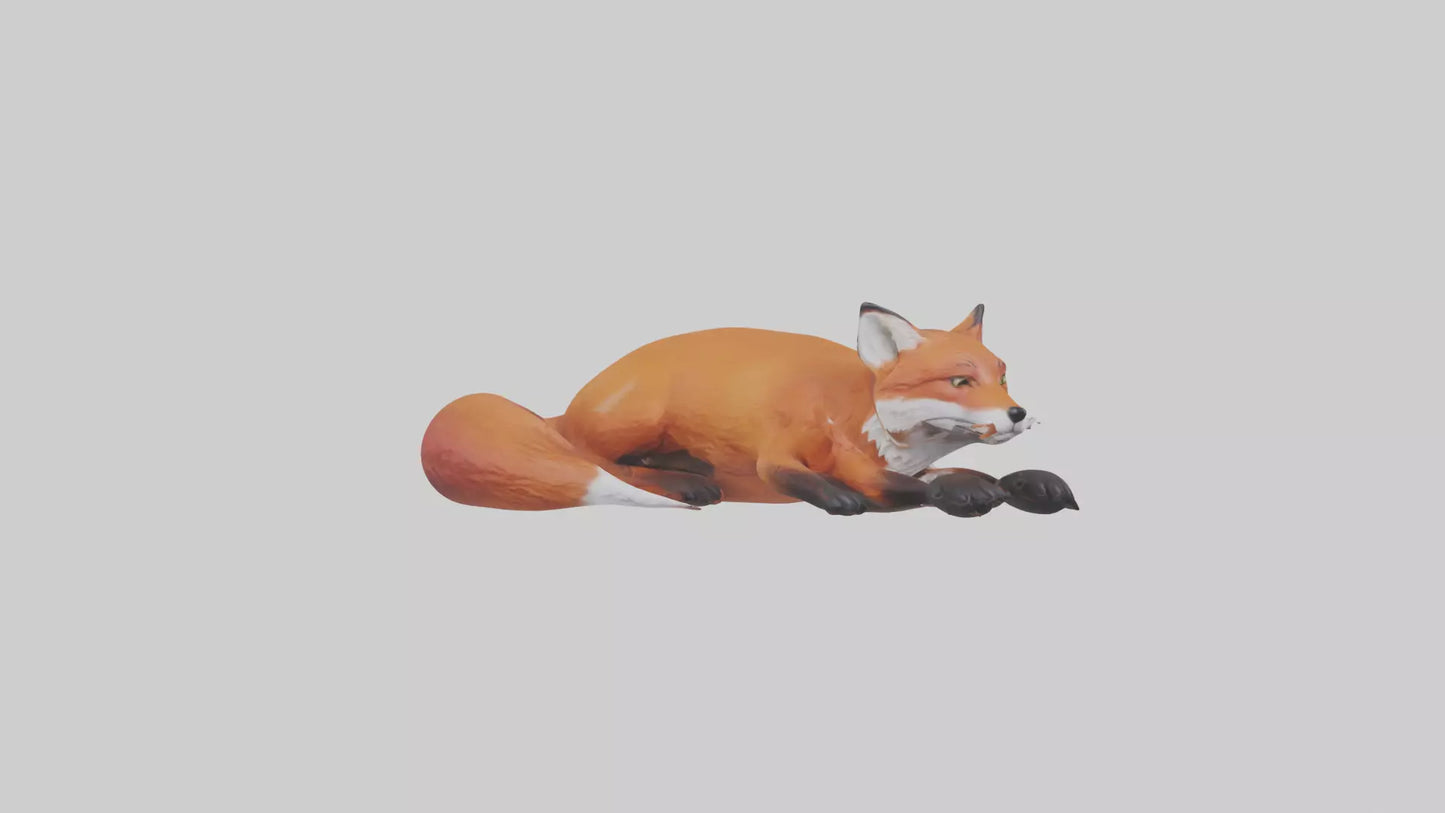 Red Fox resting model VR / AR / low-poly