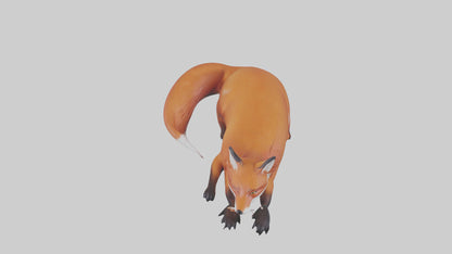 Red Fox resting model VR / AR / low-poly