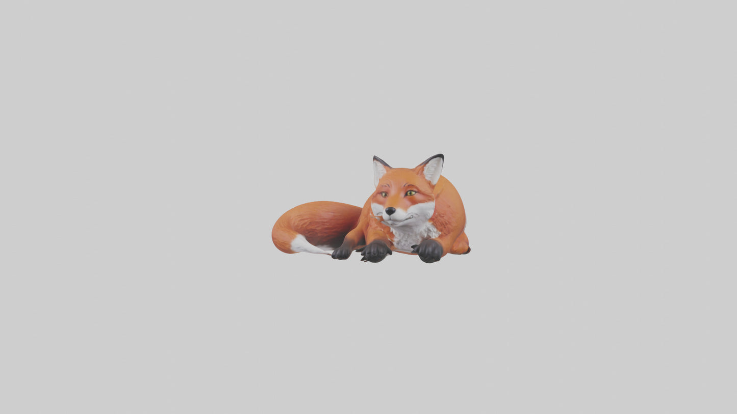 Red Fox resting model VR / AR / low-poly