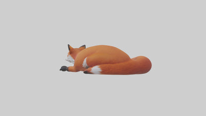 Red Fox resting model VR / AR / low-poly