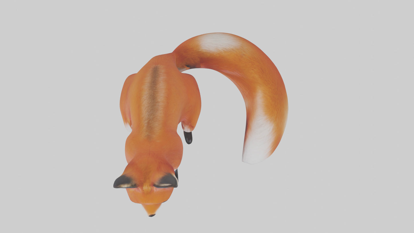 Red Fox sitting model VR / AR / low-poly
