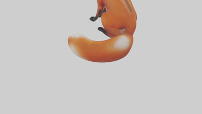 Red Fox sitting model VR / AR / low-poly