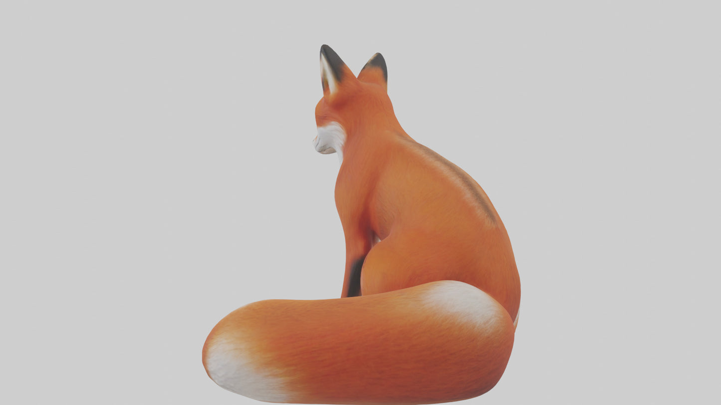 Red Fox sitting model VR / AR / low-poly