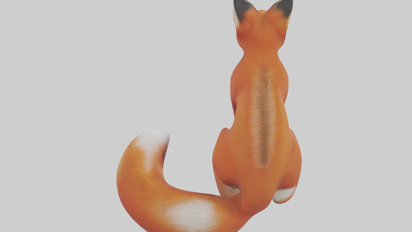 Red Fox sitting model VR / AR / low-poly