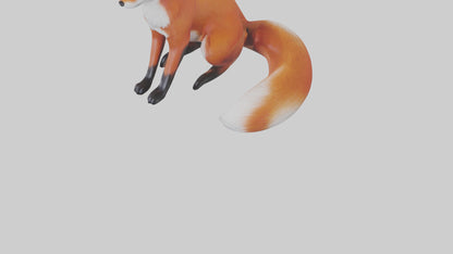 Red Fox sitting model VR / AR / low-poly