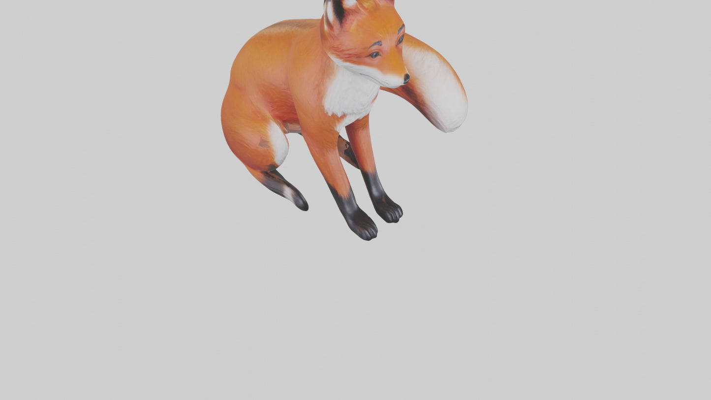 Red Fox sitting model VR / AR / low-poly