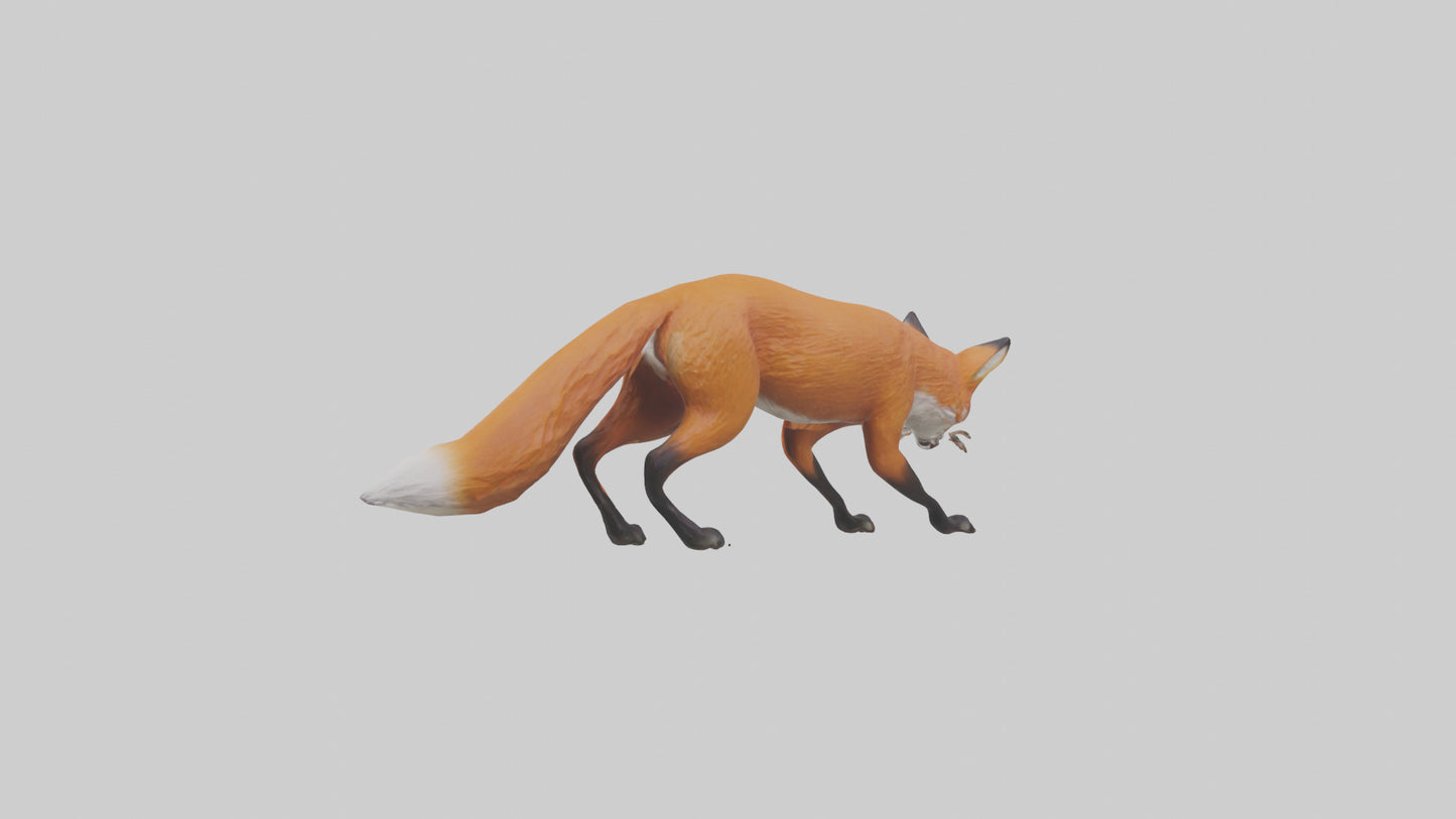 Red Fox stalking model VR / AR / low-poly