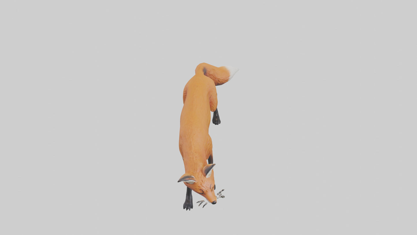 Red Fox stalking model VR / AR / low-poly