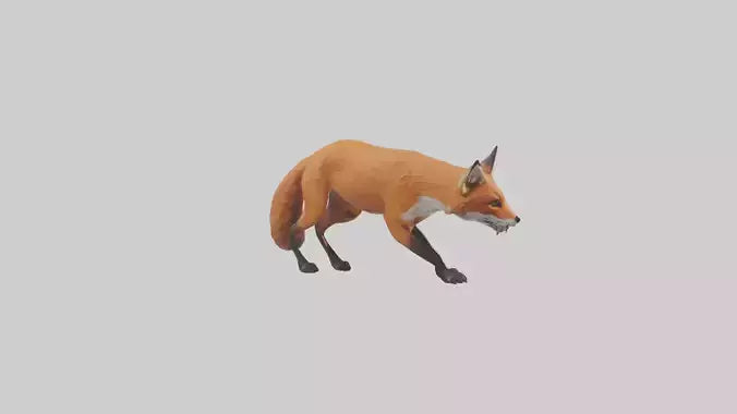 Red Fox stalking model VR / AR / low-poly