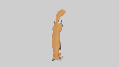 Red Fox stalking model VR / AR / low-poly