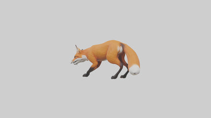 Red Fox stalking model VR / AR / low-poly