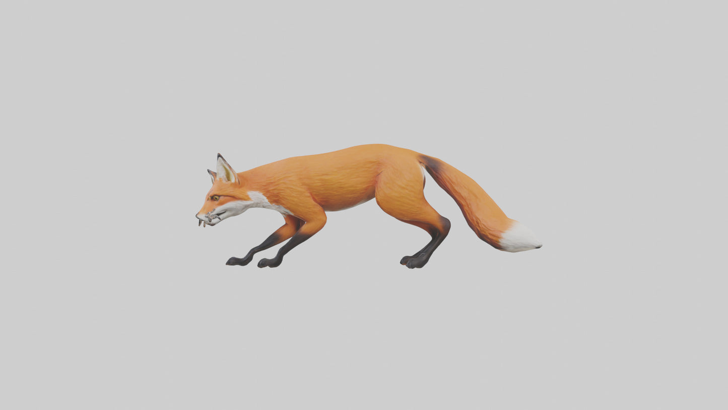 Red Fox stalking model VR / AR / low-poly