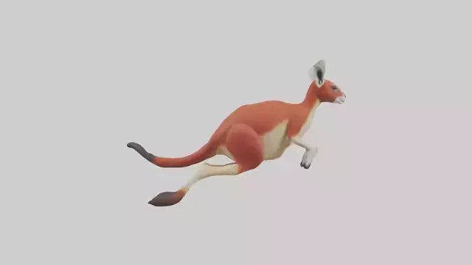 Red Kangaroo hopping model VR / AR / low-poly