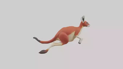 Red Kangaroo hopping model VR / AR / low-poly