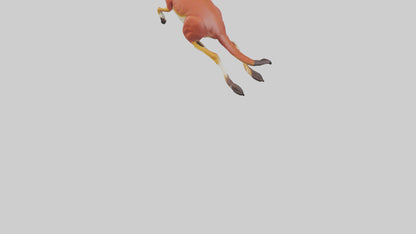 Red Kangaroo hopping model VR / AR / low-poly