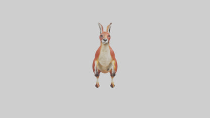 Red Kangaroo hopping model VR / AR / low-poly