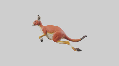 Red Kangaroo hopping model VR / AR / low-poly