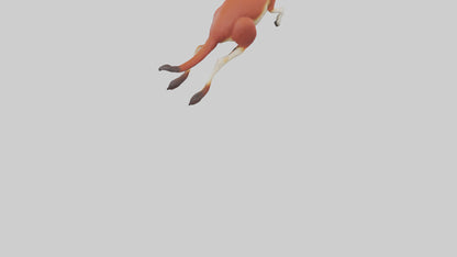 Red Kangaroo hopping model VR / AR / low-poly
