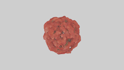 3D model Red Maple tree model VR / AR / low-poly