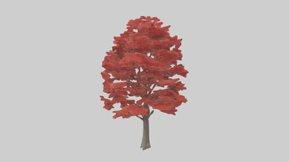 3D model Red Maple tree model VR / AR / low-poly